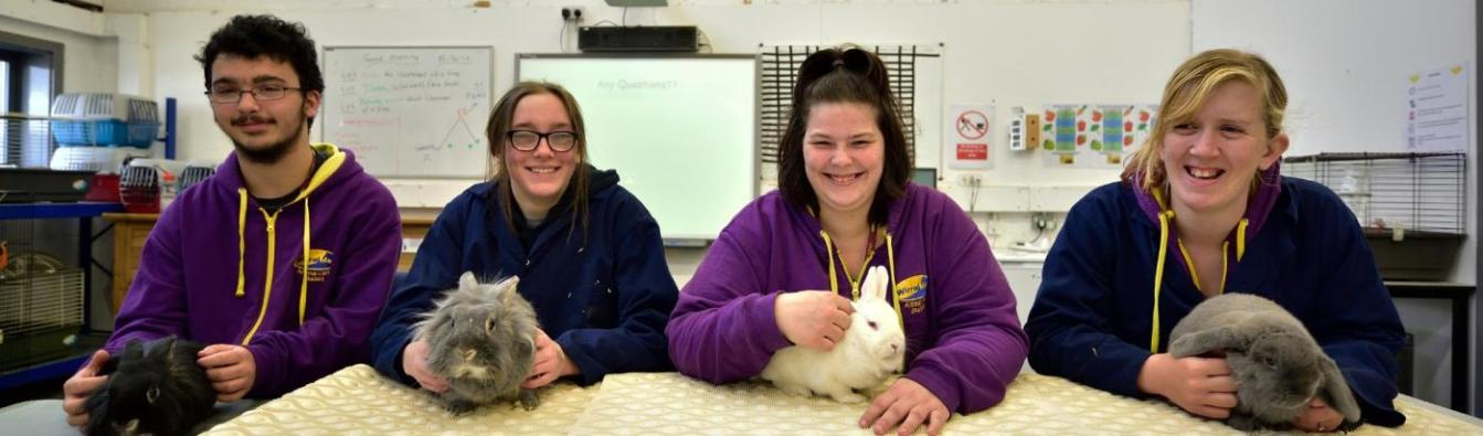 BTEC Animal Management First Diploma students sat across table with rabbits in college classroom