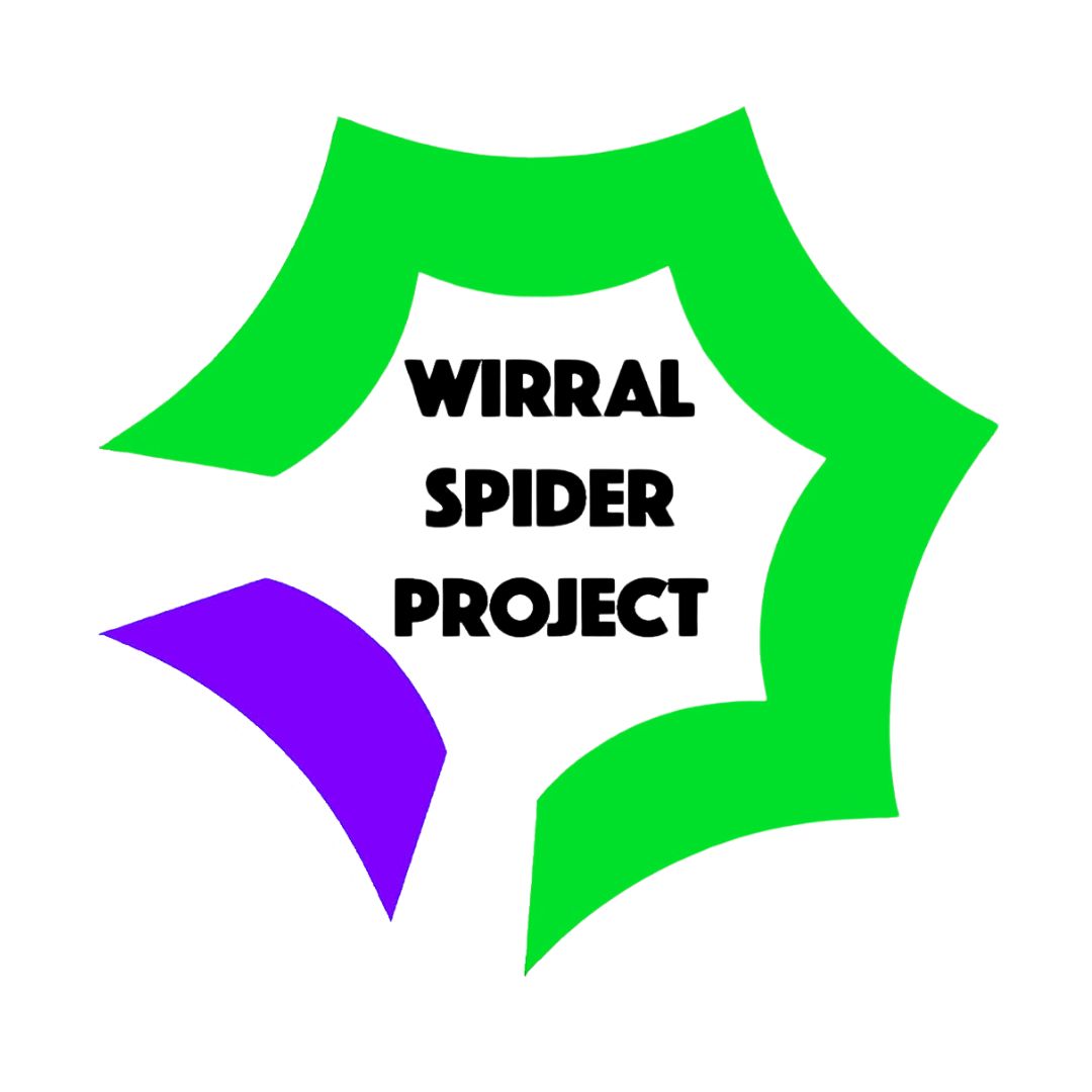 Spider Project 