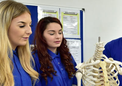 Two Female Full Time Health And Social Care Students Analysing Human Skeleton Model